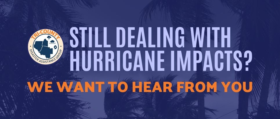 Palm trees sway in the wind under a cloudy, gray sky