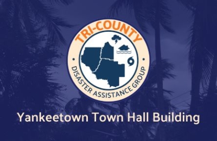 Palm trees sway in the wind under a cloudy, gray sky