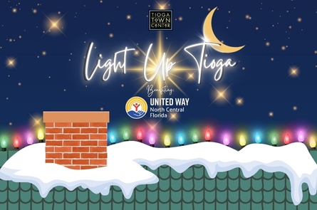 Graphic illustration of rooftop covered in snow and Christmas lights against a starry sky